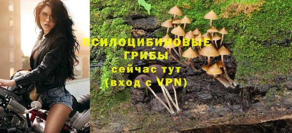 скорость Мегион